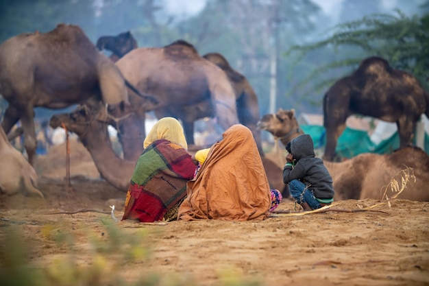 Des chameaux à la foire de Pushkar également appelée la foire aux chameaux de Pushkar ou localement sous le nom de Kartik Mela est une foire annuelle du bétail de plusieurs jours et culturelle qui s'est tenue dans la ville de Pushkar Rajasthan Inde