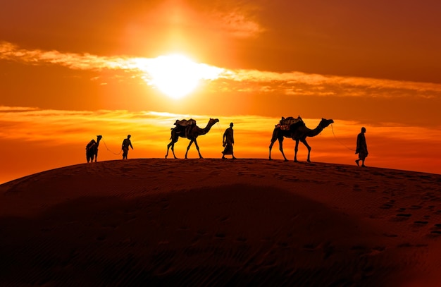 Chameliers, chameliers au coucher du soleil. Désert du Thar au coucher du soleil Jaisalmer, Rajasthan, Inde.