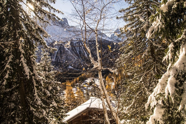 Chamonixhaute savoiefrance