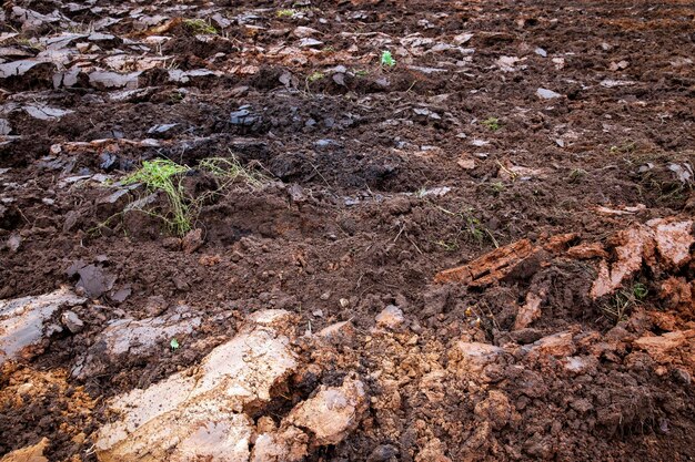 Champ agricole après les pluies d'automne avec de la boue et des ornières de voitures très mauvaises conditions pour la circulation des voitures sur le terrain sous les pluies d'automne