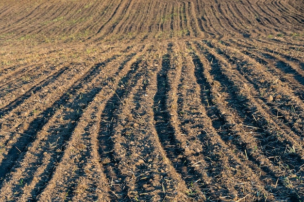 Champ agricole labouré Un endroit écologiquement propre pour la culture de céréales