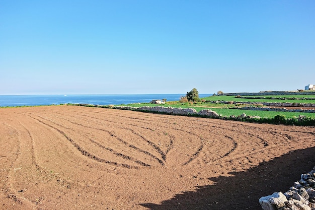 Champ agricole labouré préparé pour la plantation à Malte