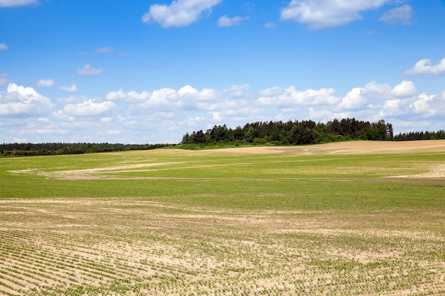 Photo champ agricole sur lequel faire pousser des cultures