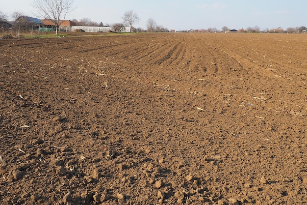 Champ arable prêt pour les travaux agricoles du printemps Sillons issus du passage d'un tracteur ou d'une moissonneuse-batteuse Semoule de maïs au sol Sol fertile pour la plantation Les engrais sont la clé d'une bonne récolte