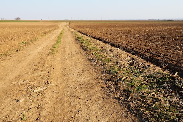 Champ arable prêt pour les travaux agricoles de printemps Sillons d'un tracteur ou d'une moissonneuse-batteuse Semoule de maïs au sol Sol fertile pour la plantation Les engrais sont la clé d'une bonne récolte Route dans le champ