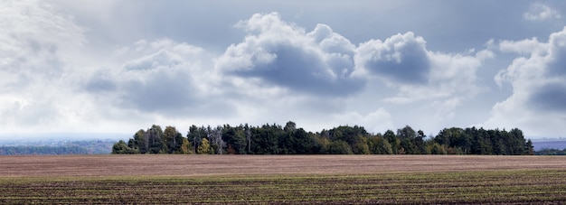 Champ D'automne Et Forêt Au Loin Par Temps Nuageux, Panorama