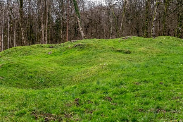 Photo champ de bataille autour de verdun