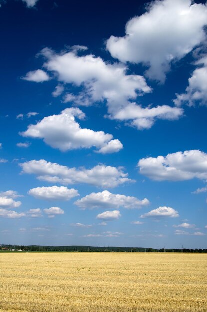 Champ et le beau ciel bleu