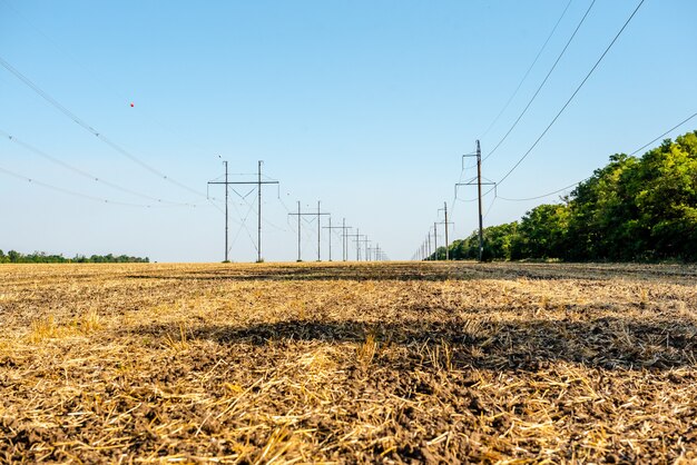 Champ De Blé Labouré Paille Dans Les Champs Paysage Rural Avec Fond De Ciel Bleu