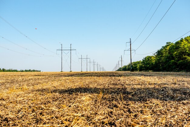 Champ de blé labouré Paille dans les champs Paysage rural avec fond de ciel bleu