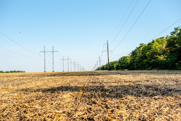 Champ de blé labouré Paille dans les champs Paysage rural avec fond de ciel bleu