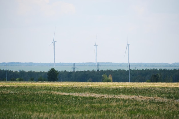 Champ de blé récolté sur fond de générateurs d'énergie éolienne