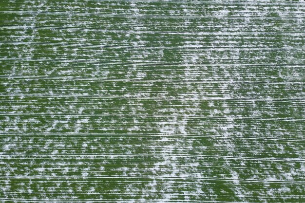 Photo champ de blé recouvert de neige printemps vue aérienne