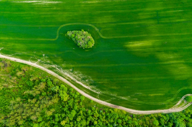 Champ de blé vert Vue aérienne Paysage d'été