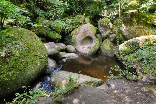 Le champ de blocs de la forêt de Huelgoat