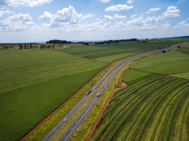 Champ de canne à sucre aérien et autoroute au Brésil.