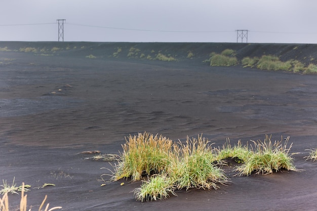 Champ de cendres volcaniques en Islande