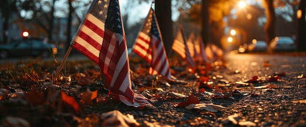 Champ de centaines de drapeaux américains commémorant le fond d'écran HD Fond d'écran