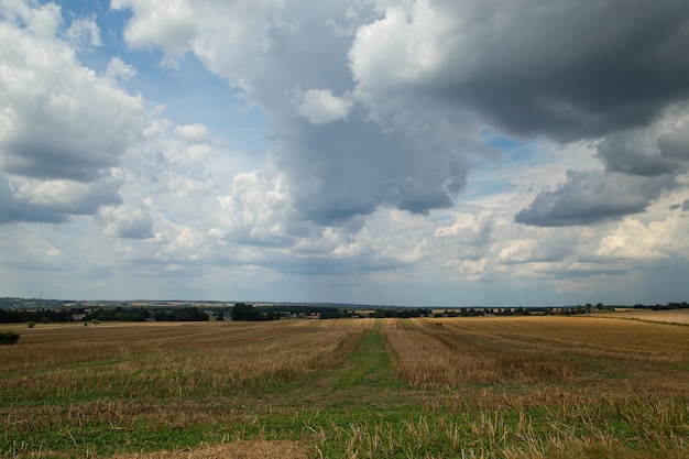 Champ de céréales après la récolte