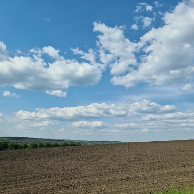 Un champ avec un ciel bleu et des nuages