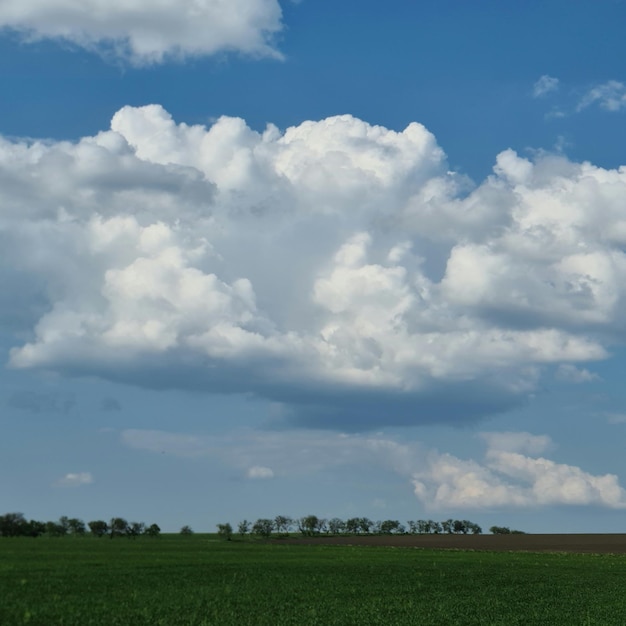 Un champ avec un ciel bleu et des nuages