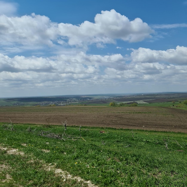 Un champ avec un ciel bleu et des nuages