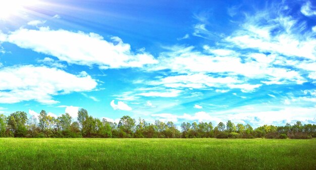 Un champ avec un ciel bleu et des nuages