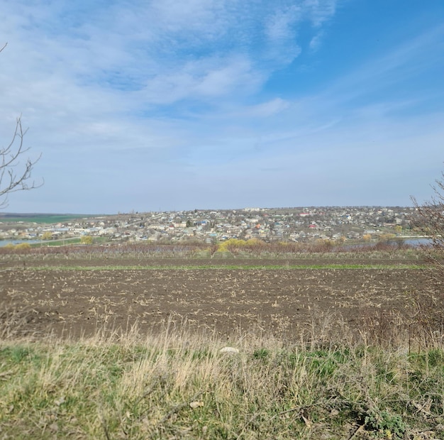 Un champ avec une colline en arrière-plan et un arbre au premier plan.