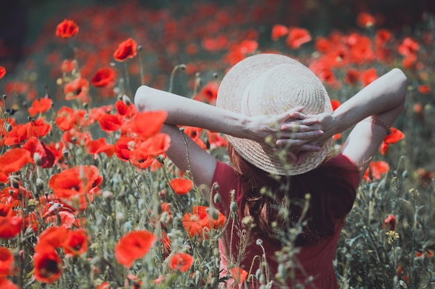 Le champ de coquelicots