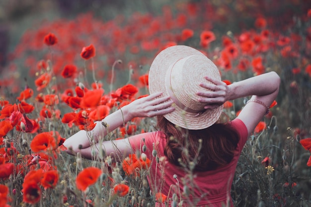 Le champ de coquelicots