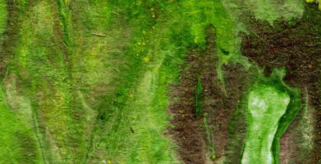 Un champ couvert d'herbe verte avec des fleurs jaunes.