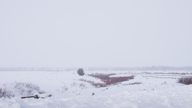 Champ couvert de neige au parc national de Great Teton.