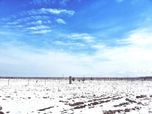 Champ couvert de neige contre le ciel bleu