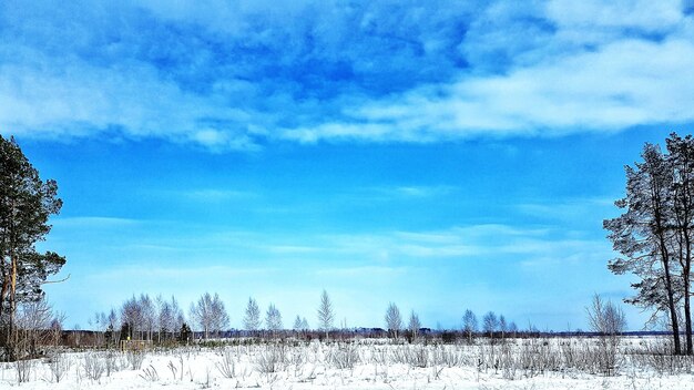 Photo champ couvert de neige contre le ciel