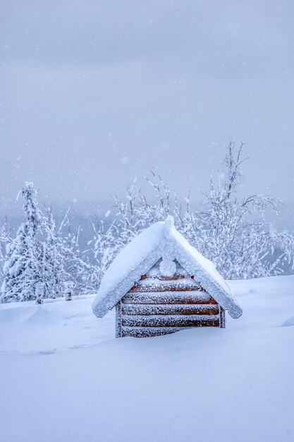 Photo champ couvert de neige contre le ciel