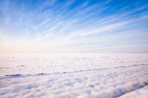 Photo le champ couvert de neige en hiver. couvert