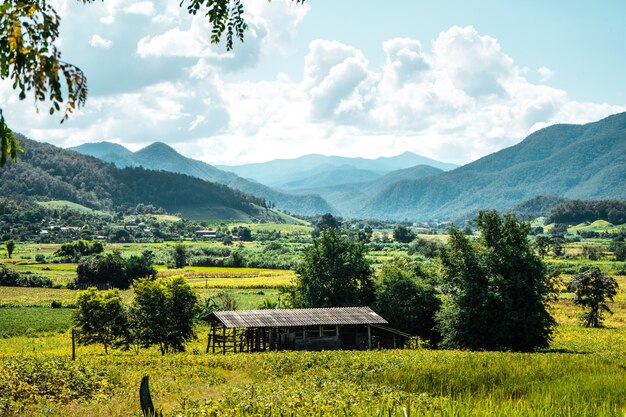 Champ dans le jardin, vue sur la montagne et champs verts par temps clair