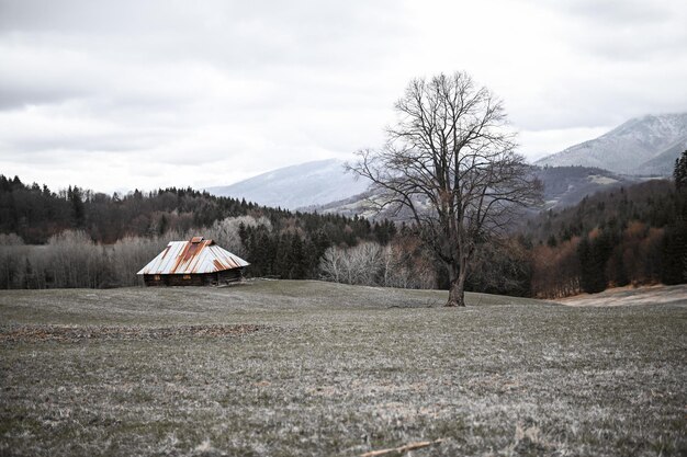 Un champ enneigé avec une maison en arrière-plan