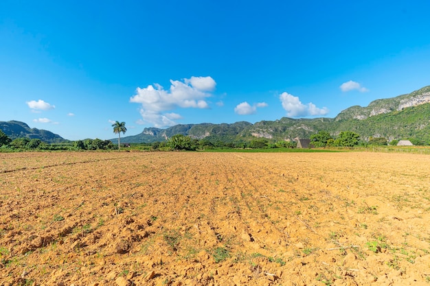 Champ de la ferme. Champ de blé fraîchement planté dans le Midwest américain.