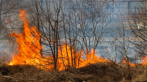 Champ fertile en feu sur le thème de la guerre ou d'une catastrophe d'origine humaine