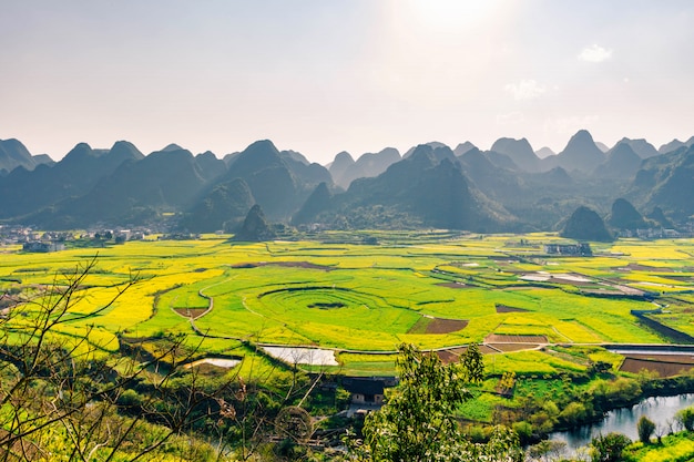 Champ de fleurs de colza et villages du parc géologique national de Wanfenglin (forêt des dix mille sommets), Chine