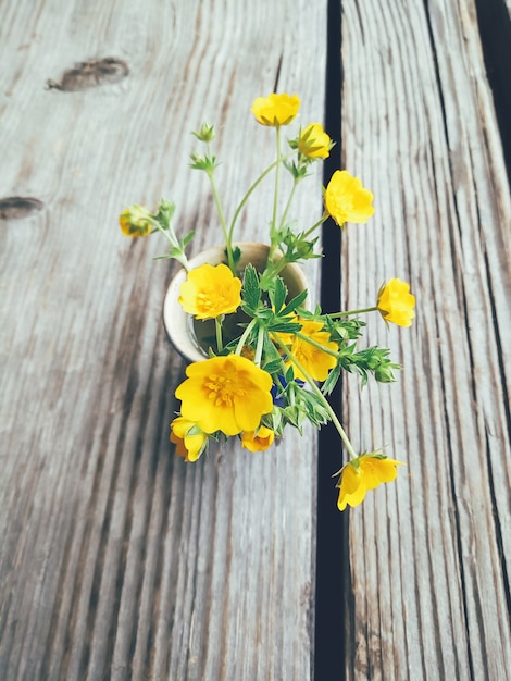 Champ de fleurs jaunes dans un vase bleu