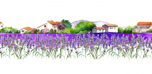 Champ de fleurs de lavande avec des maisons de village rural.