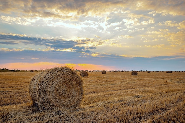 Un champ de foin avec le soleil couchant derrière lui