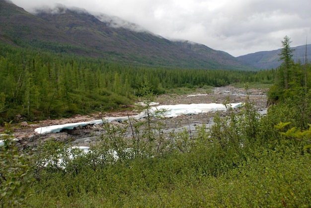 Le champ de glace dans la marée de la rivière de montagne