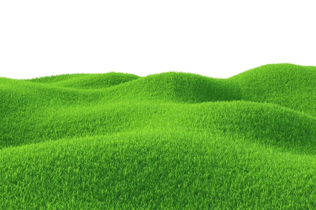 Champ Green Grass