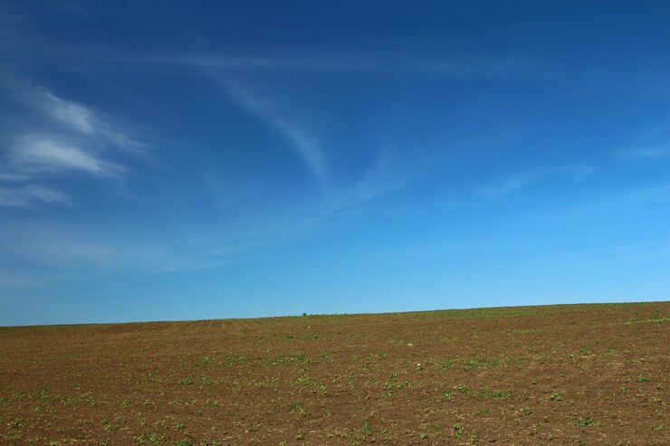 Photo un champ avec de l'herbe et un ciel bleu