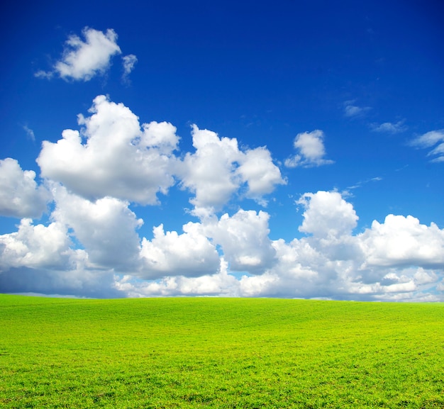 champ d'herbe avec ciel nuageux