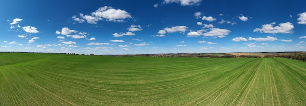 Champ d'herbe et ciel parfait