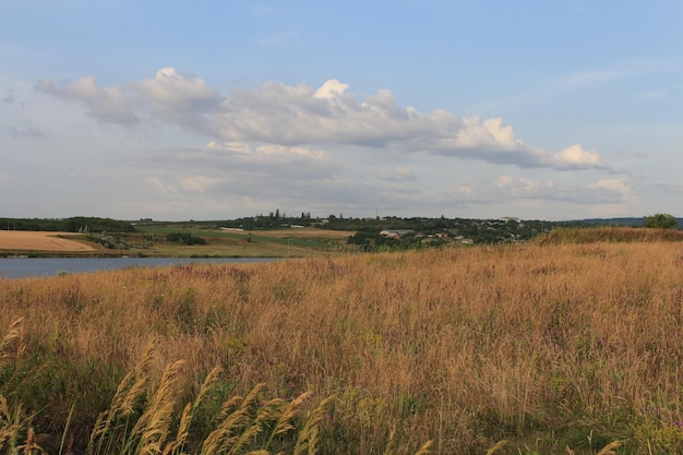 Photo un champ d'herbe et une rivière